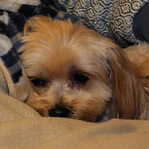 Meet your Posher, Jodi